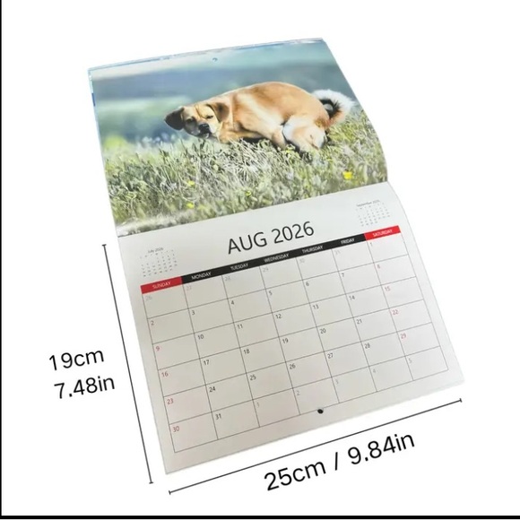 **Buy Now Ready** 2026 Humorous Dogs Pooping in Beautiful Places Wall Calendar - Picture 2 of 5